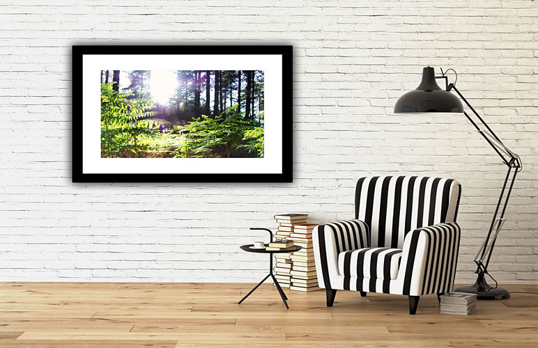 forest and trees prints